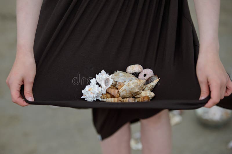 Collecting Seashells