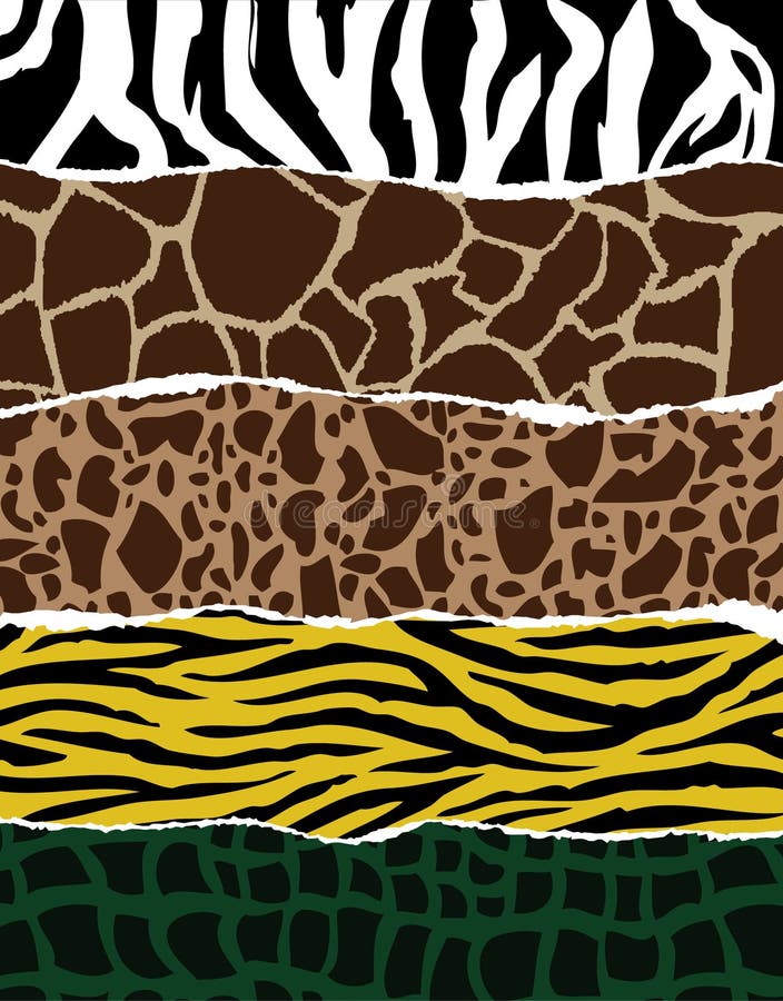 Collection Of Animal Patterns Stock Vector - Illustration of pattern