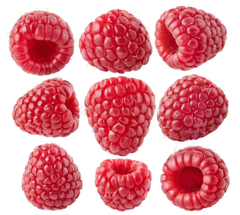 Collection of berries. Different shapes of nine raspberry fruits isolated. royalty free stock images