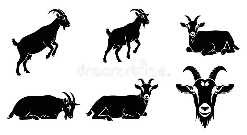 This collection features six distinct black silhouette illustrations of goats on a white background. The set includes goats in dynamic poses such as jumping, standing, and resting. A close-up of a goat's head with prominent horns is also included. These versatile graphics are ideal for use in logos, educational materials, farm-related designs, and any project requiring a clear and stylized representation of goats. Nanny logo vectors