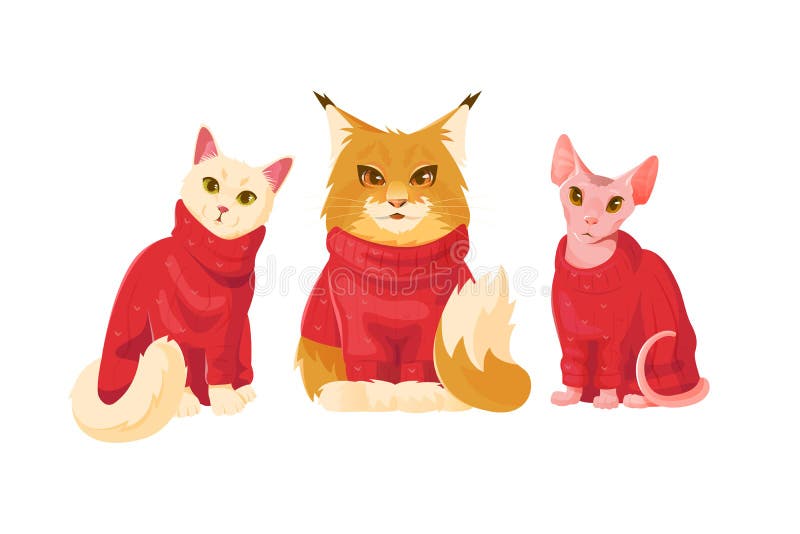 Collection Cartoon Cute Cats in Red Sweater Stock Vector Illustration