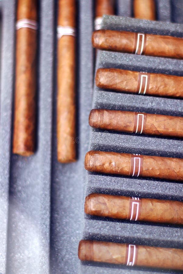 Cigars In Travel Case Humidor Premium Protection From Above Stock Image