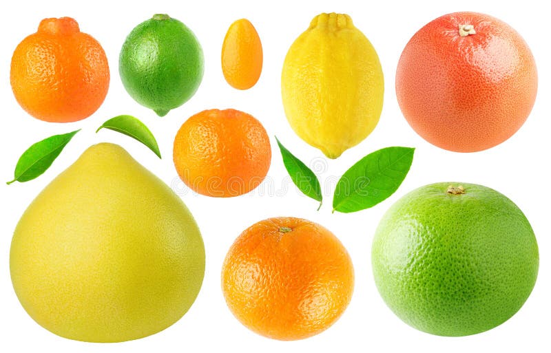Collection of citrus fruits royalty free stock images Collection of citrus fruits royalty free stock images