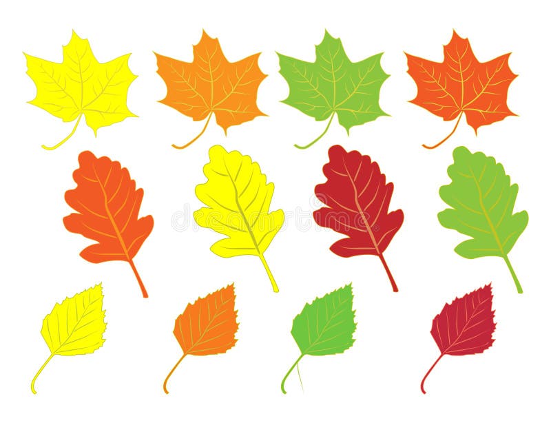 Autumn Leaves Stock Illustrations – 388,862 Autumn Leaves Stock  Illustrations, Vectors & Clipart - Dreamstime