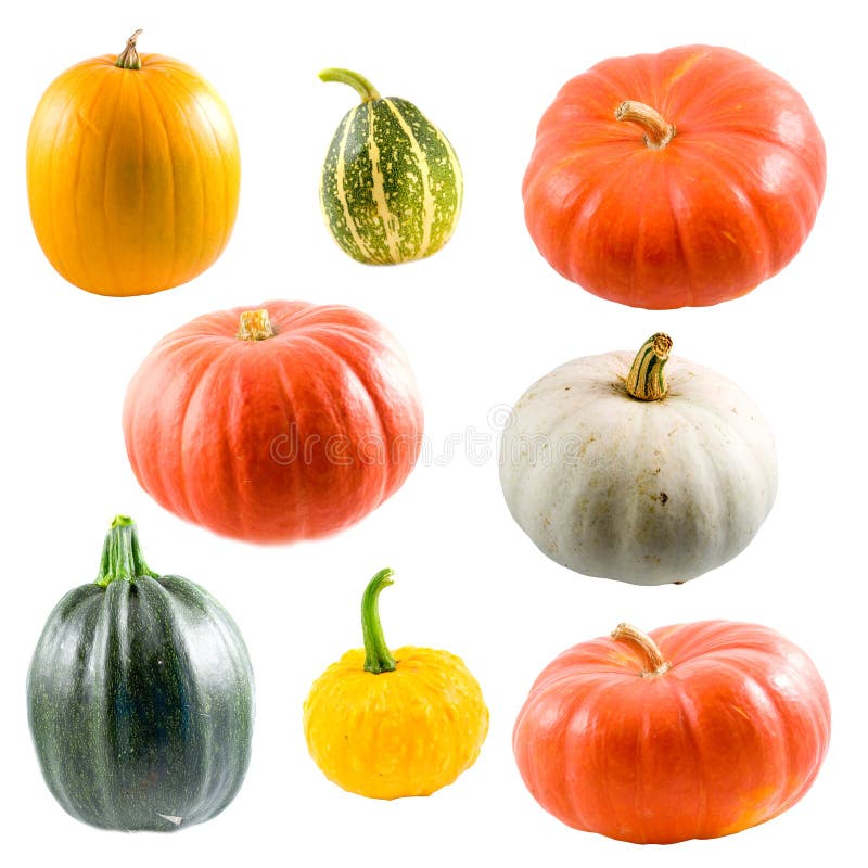 Collection of colorful pumpkins