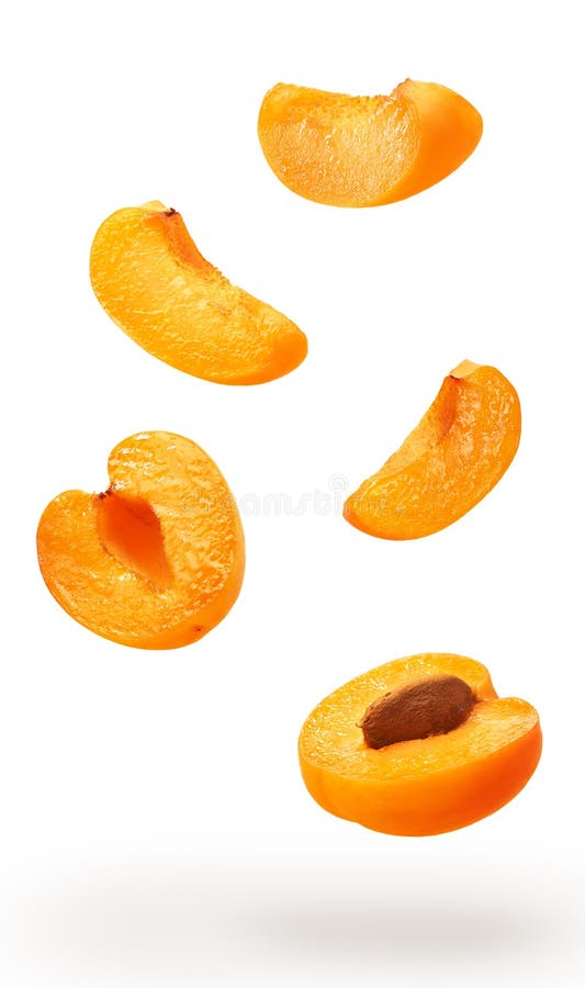 Collection of Cut Apricot Fruits Isolated on White Stock Image Image