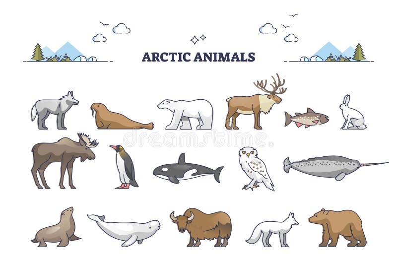 Collection D'animaux De Pôle Nord Flottant Sur Une Banquise