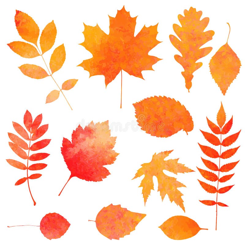 Collection d'aquarelle de belles feuilles d'automne oranges illustration stock