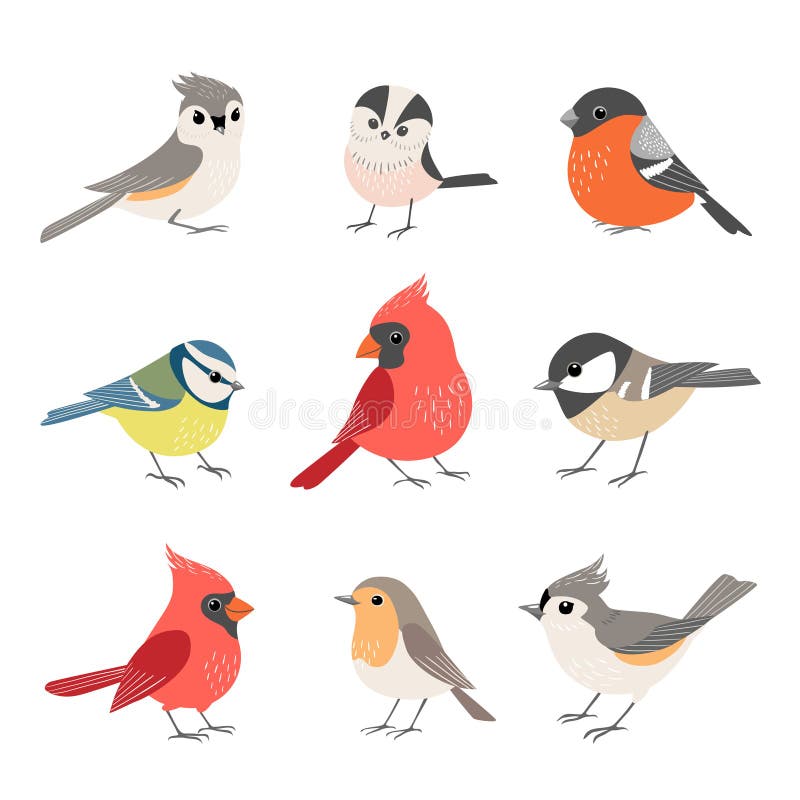 Collection d'oiseaux mignons d'hiver illustration stock Collection d'oiseaux mignons d'hiver illustration stock