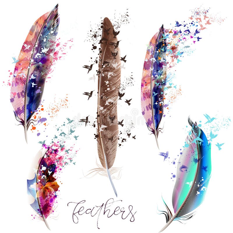 Collection of beautiful colorful feathers for design. Collection of beautiful colorful feathers for design