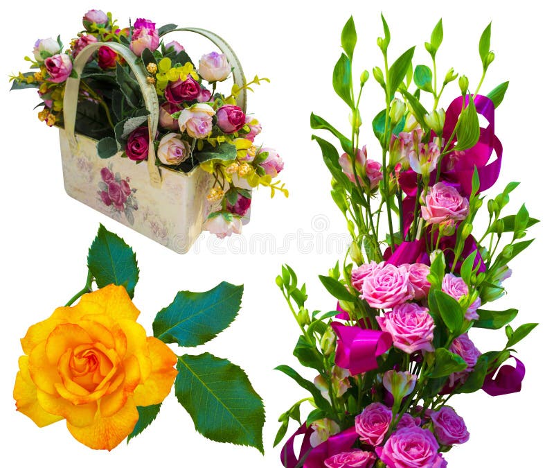 Collection de bouquets de fleurs roses isolées sur fond blanc Fleurs de rose images stock Collection de bouquets de fleurs roses isolées sur fond blanc Fleurs de rose images stock