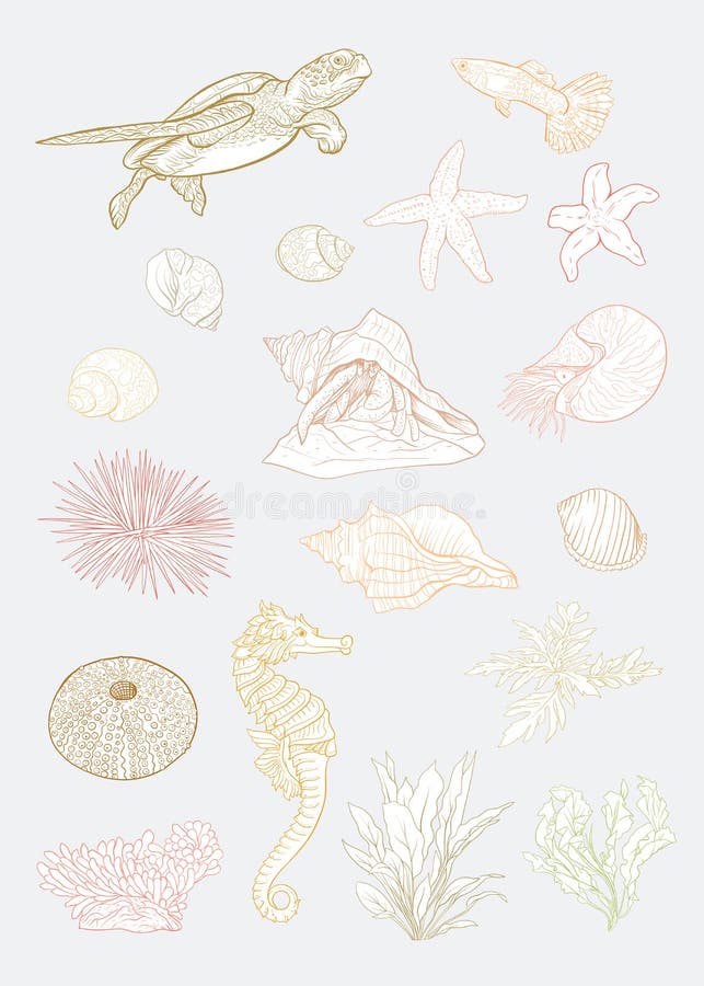 Collection de mer Illustration colorée tirée par la main originale illustration stock Collection de mer Illustration colorée tirée par la main originale illustration stock