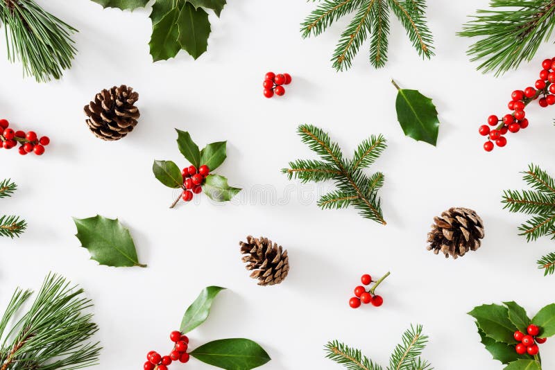 Collection of decorative Christmas plants with green leaves and holly berries