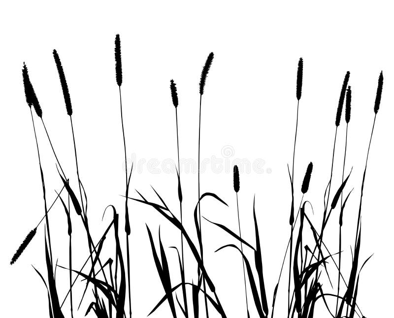 Collection for designers weeds, plant vector