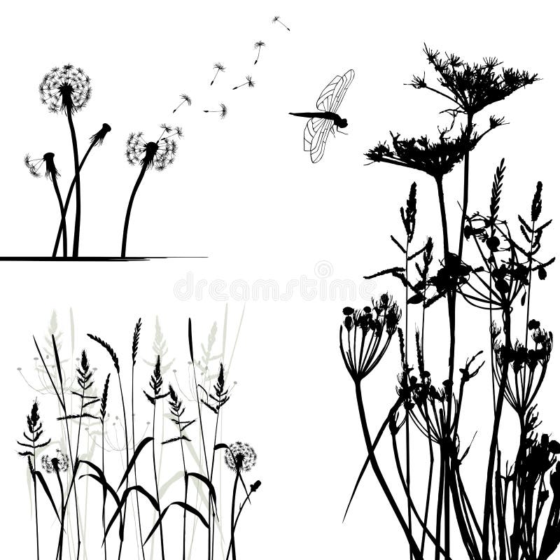 Collection for designers, wild plant vector