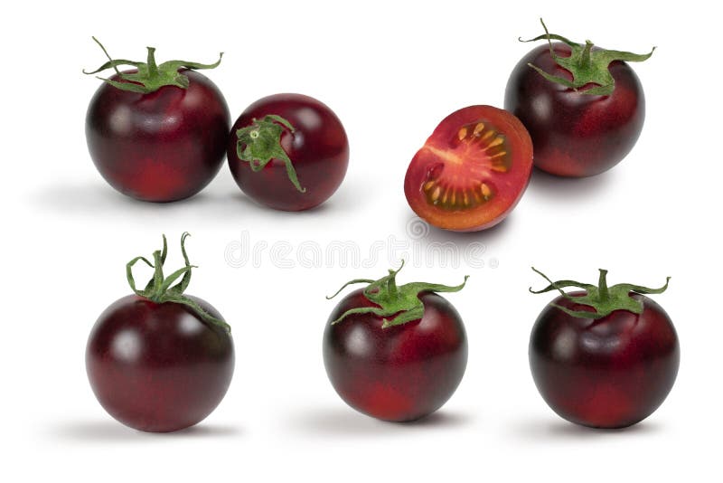 Collection of different black tomatoes cultivars isolated on white background. Various shapes of tomatoes.