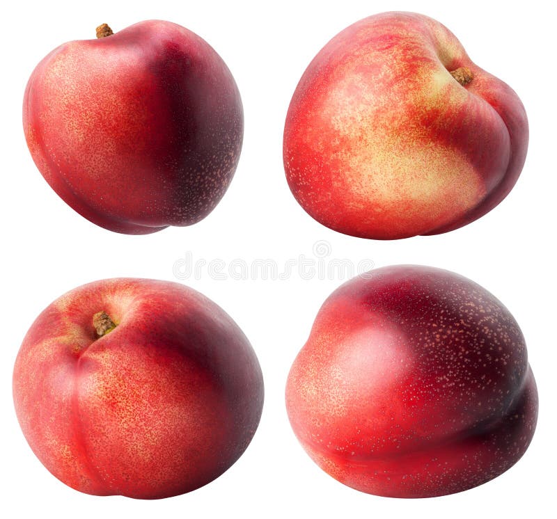 Isolated nectarines. Collection of different nectarine fruits isolated on white background with clipping path royalty free stock image Isolated nectarines. Collection of different nectarine fruits isolated on white background with clipping path royalty free stock image