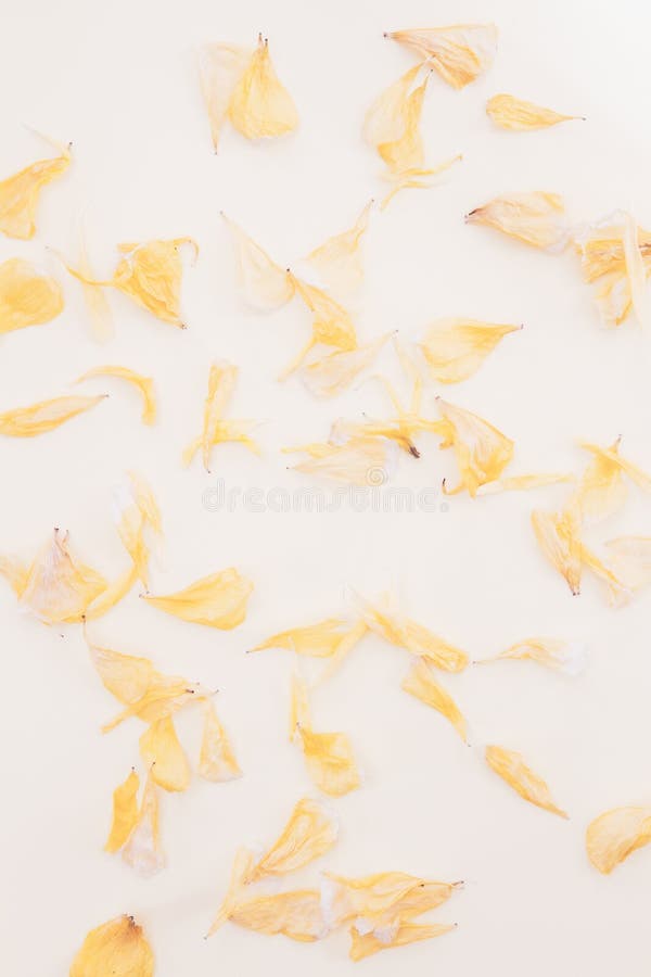 227 Top Down Flower Arrangement Stock Photos Free & RoyaltyFree Stock Photos from Dreamstime