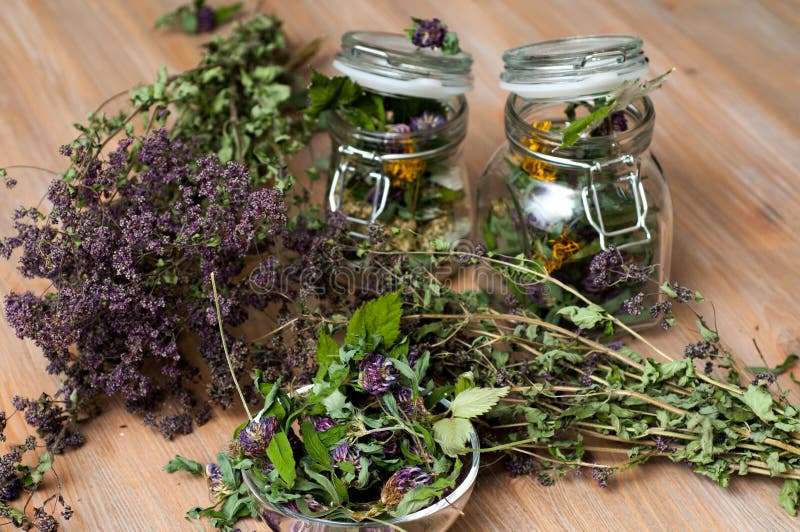 Collection of dried herbs stock photo. Image of organic 126473048