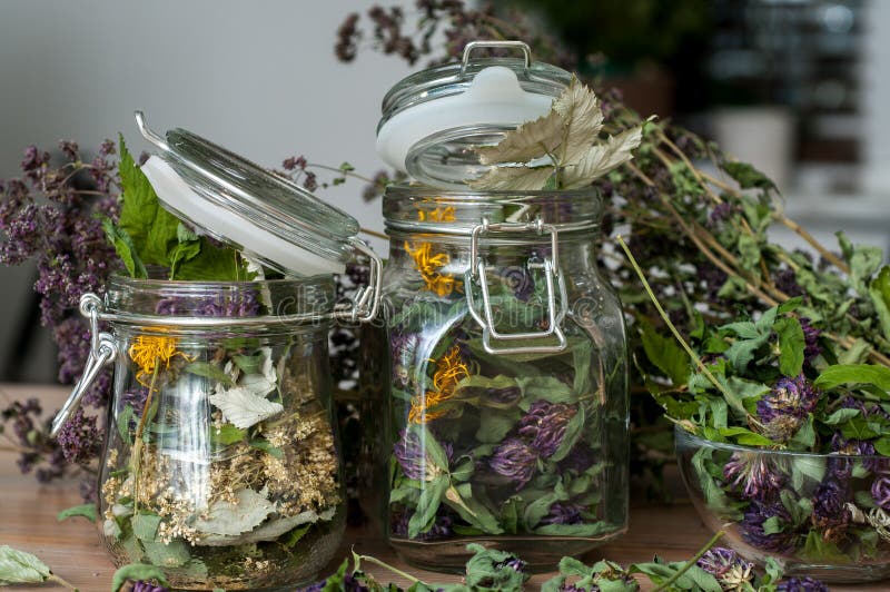 Collection of dried herbs stock photo. Image of medical 126473038