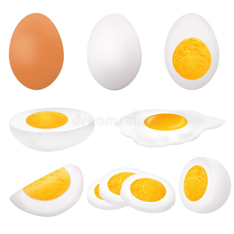 Collection of eggs in various forms whole,fried, boiled, half and sliced vector illustration.