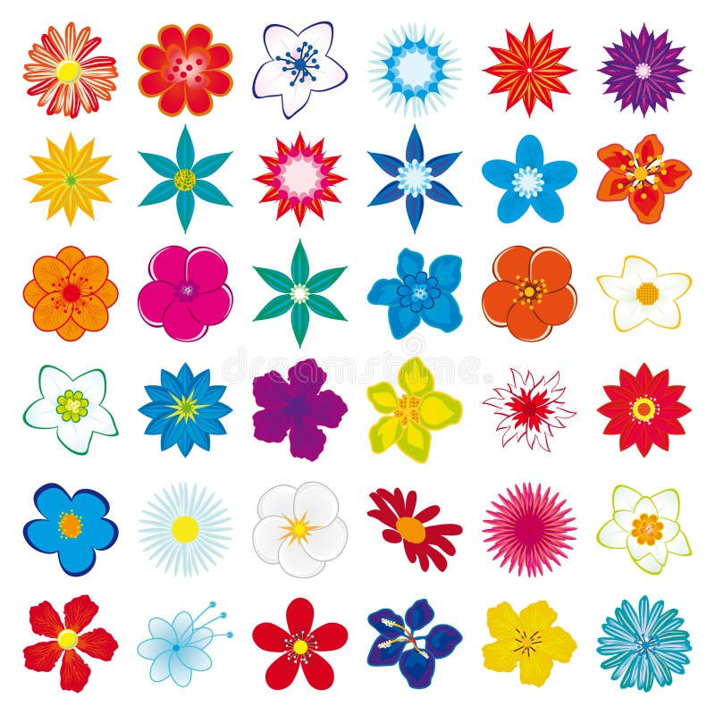 Spring flowers stock vector. Illustration of daisy, celebration - 3696208