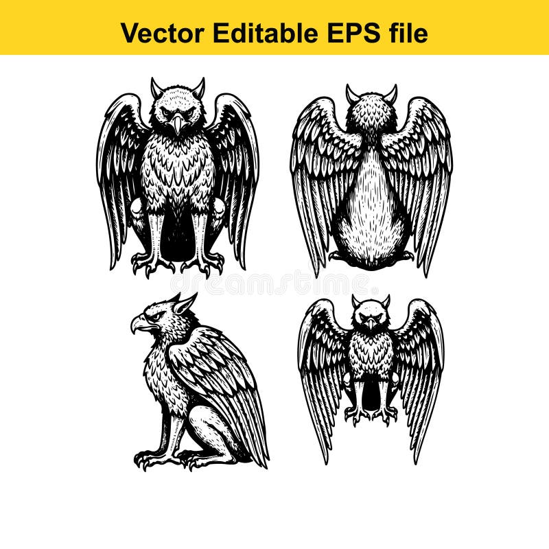 Black and white vector illustrations of four eagles in different positions on white background with detailed feathers and textures. Birdlike species vectors