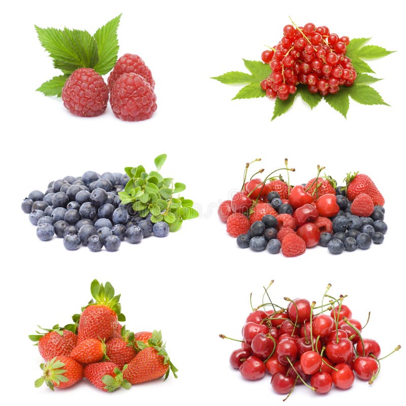 Fresh berries collection stock photo. Image of eating 14069398