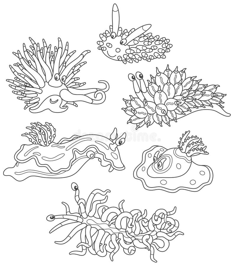 Sea monsters - molluscs stock vector. Illustration of drawing - 110907227