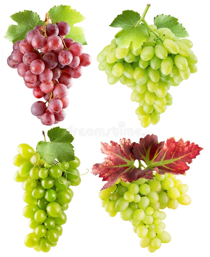 Green Grapes with Leaves Isolated on a White Background Stock Photo ...