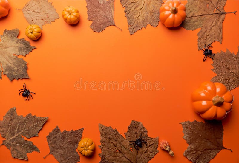 Collection Halloween And Autumn party objects frame stock photography
