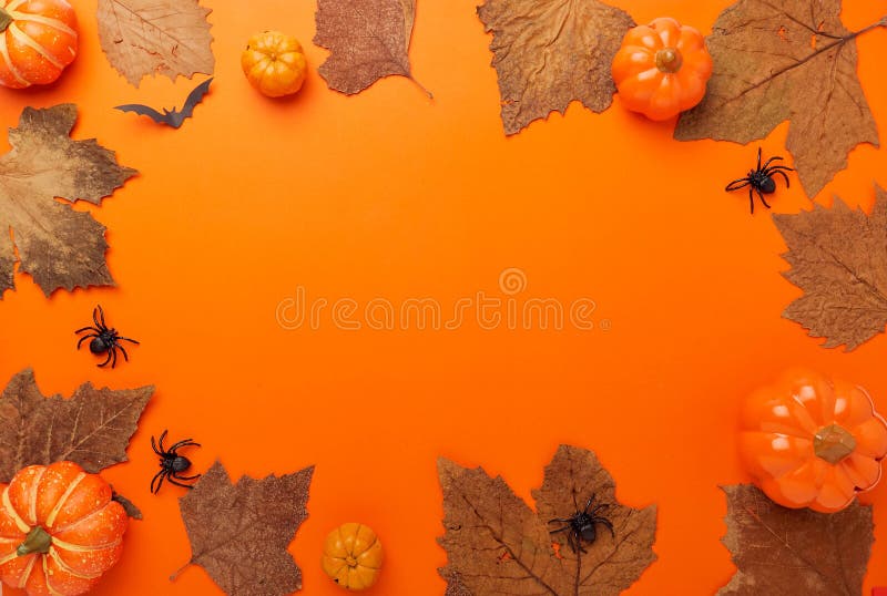 Collection Halloween And Autumn party objects frame royalty free stock photo