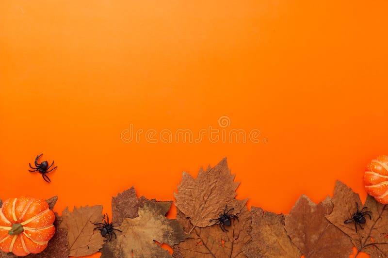 Collection Halloween And Autumn party objects frame stock image