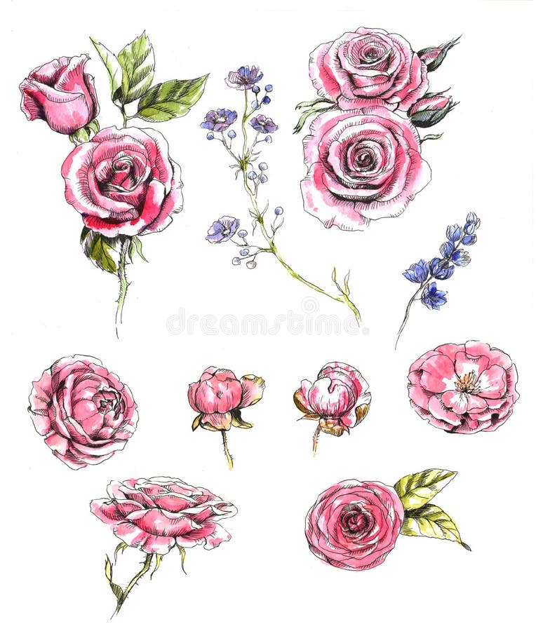 Floral Elements Stock Illustrations – 398,803 Floral Elements Stock ...