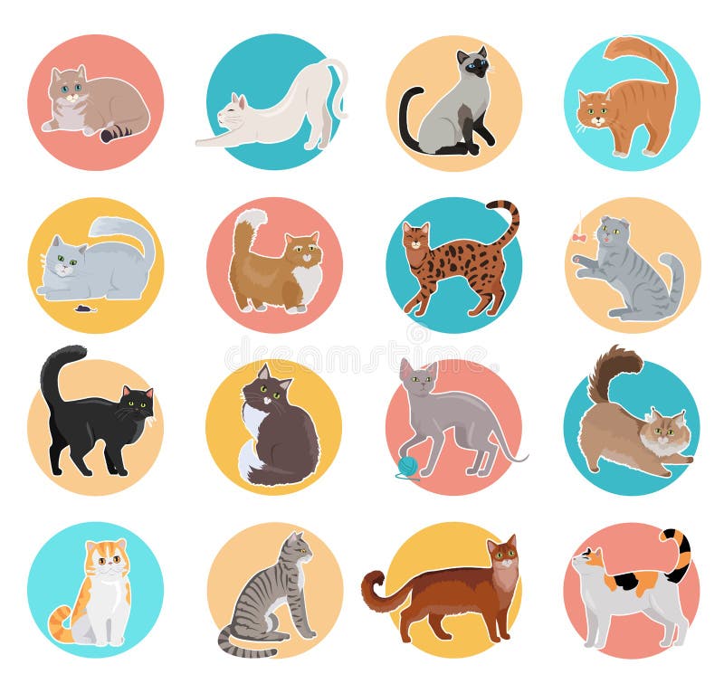 Set Of Icons With Cats Flat Design Vector Stock Illustration