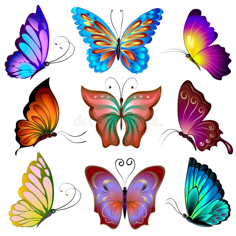 Download Collection Of Multi-colored Butterflies. Stock Vector ...
