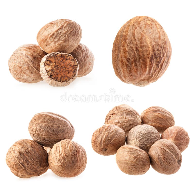 Set of Nutmegs stock photo. Image of food, ingredient 13239916