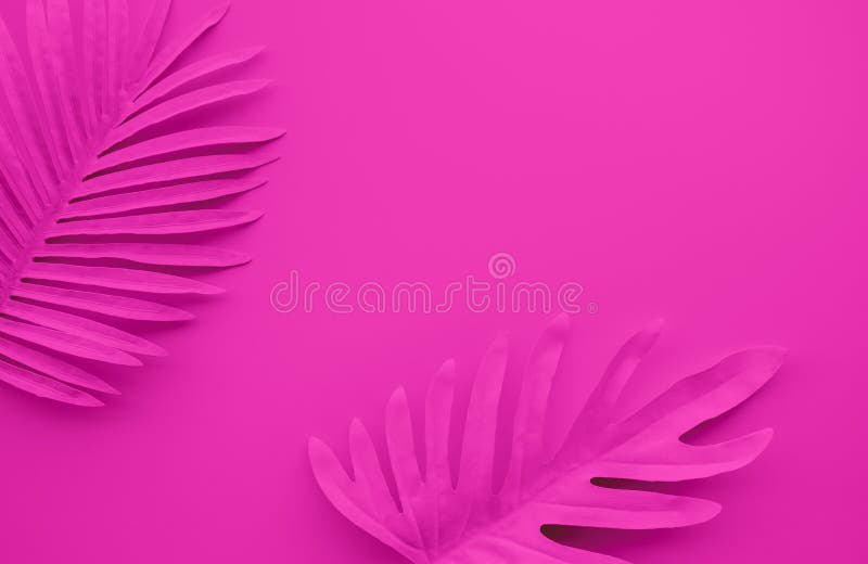 Collection of pastel tropical leaves,foliage plant with space background