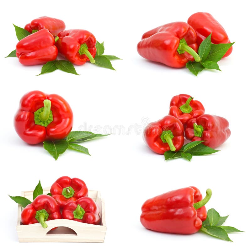 Collection of Pepper Fruits Stock Image Image of nutrition