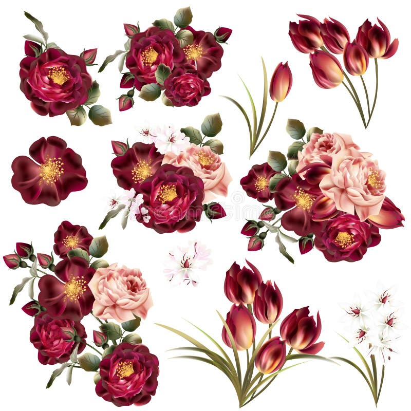 Collection of Realistic Pastel Flowers Stock Vector Illustration of