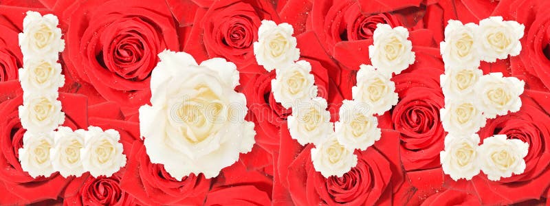 Collection of red roses