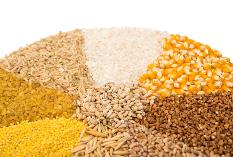 Collection Set Of Cereal Grains Stock Photo Image Of Fiber Macro