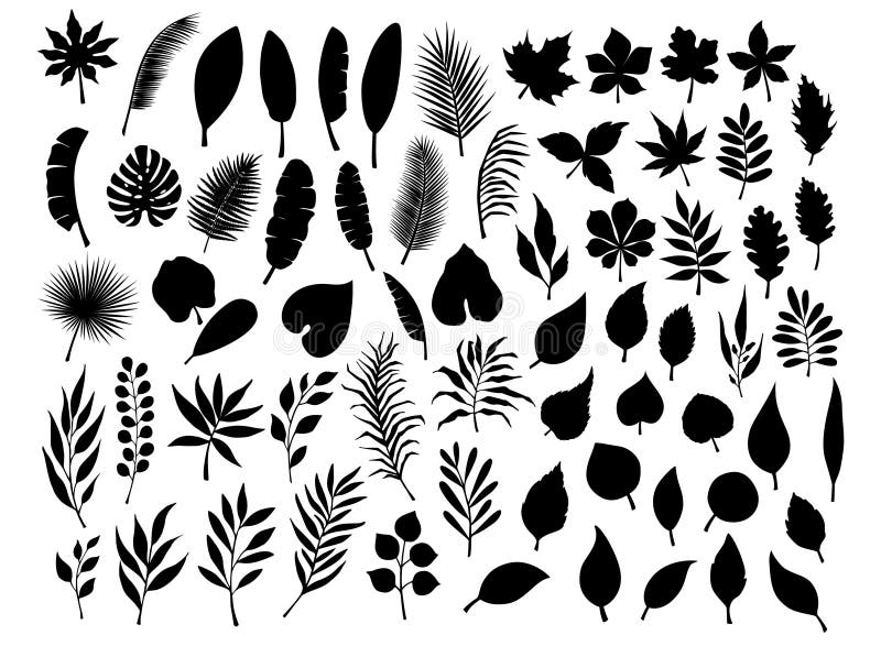 Collection set of different silhouettes of tropical, forest, park tree leaves branches twigs plants foliage