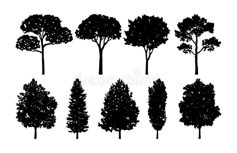 Tree Vector Collections Set Stock Vector - Illustration of collection