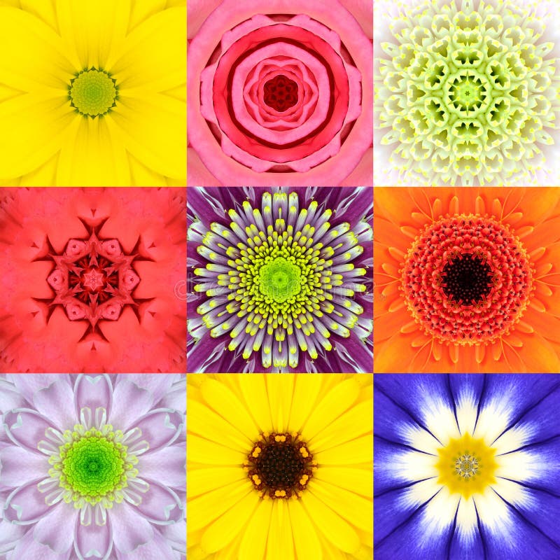 Collection Set Nine Flower Mandalas Various Colors Kaleidoscope royalty free stock image
