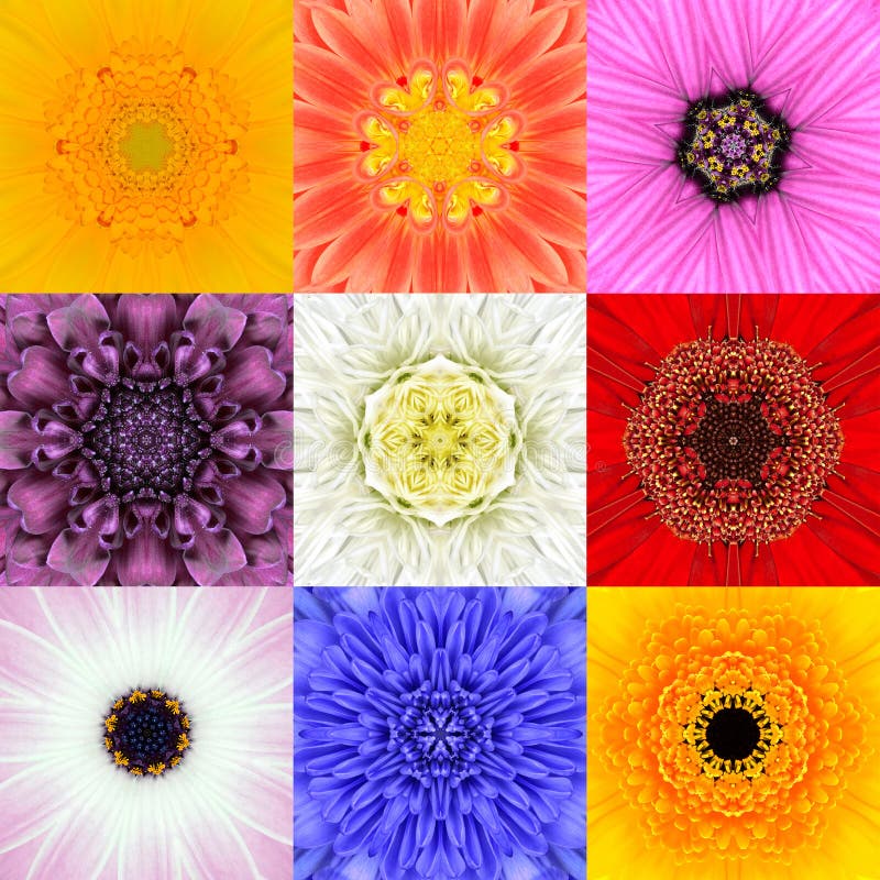 Collection Set Nine Flower Mandalas Various Colors Kaleidoscope stock photo