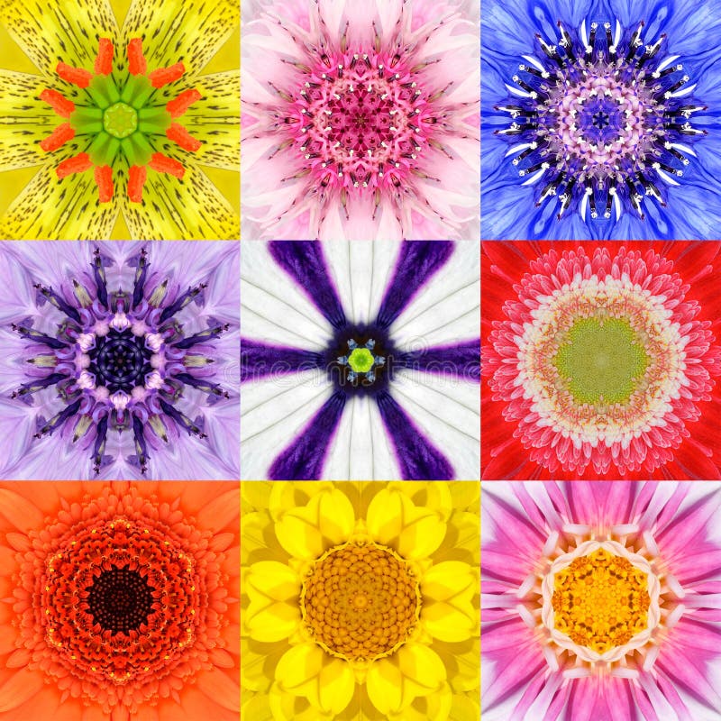 Collection Set Nine Flower Mandalas Various Colors Kaleidoscope royalty free stock photo