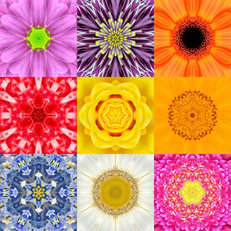 Collection Set Nine Flower Mandalas Various Colors Kaleidoscope stock photo