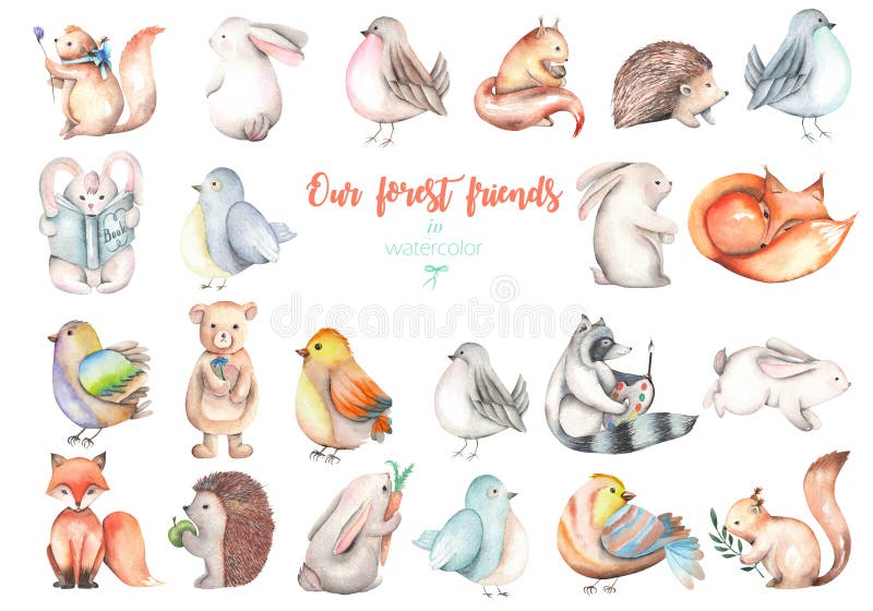 Collection, set of watercolor cute forest animals illustrations