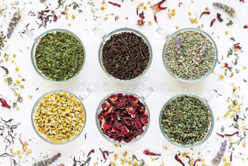 Collection from six different types of tea leafs. royalty free stock image Collection from six different types of tea leafs. royalty free stock image